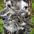 Opening Receptions, May 21, 2022, 05/21/2022, Artist Talk: Othered