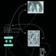 Lectures, March 04, 2022, 03/04/2022, Economies of Breath (online)