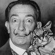 Talks, March 24, 2022, 03/24/2022, Salvador Dali in America