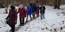 Hikes, March 03, 2022, 03/03/2022, State Island Hike