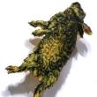 Opening Receptions, March 03, 2022, 03/03/2022, Zoonotic Hex: Group Show