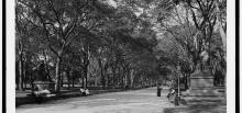 Park Walks, March 23, 2022, 03/23/2022, The Mall and Literary Walk (online)