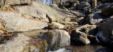 Park Walks, March 30, 2022, 03/30/2022, The Ramble (online)