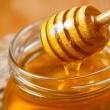 Talks, April 19, 2022, 04/19/2022, Local Honey: Cooking Demonstration and Talk