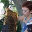 Talks, April 21, 2022, 04/21/2022, Meet the Beekeeper