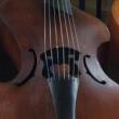 Concerts, March 26, 2022, 03/26/2022, Viola da Gamba Quartet