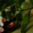 Talks, April 18, 2022, 04/18/2022, Artist Talk: Photo/Synthetic (online)