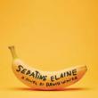 Author Readings, April 12, 2022, 04/12/2022, Sedating Elaine: A Less-Than-Ideal Love Affair (online)
