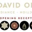 Opening Receptions, April 07, 2022, 04/07/2022, David Orr: Radiance + Reflection