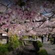 Tours, April 04, 2022, 04/04/2022, Japan: Kyoto Cherry Blossom (online)