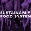 Discussions, April 06, 2022, 04/06/2022, Sustainable Food Systems (online)