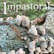 Poetry Readings, April 07, 2022, 04/07/2022, Impastoral: New Poetry