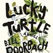 Author Readings, April 26, 2022, 04/26/2022, Lucky Turtle: Love at Reform Camp (online)