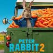 Films, April 15, 2022, 04/15/2022, Peter Rabbit 2: The Runaway (2021): Animated Sequel