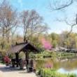 Park Walks, April 06, 2022, 04/06/2022, Lakeside Boat Landings Walk in Central Park (online)
