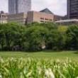 Park Walks, April 20, 2022, 04/20/2022, Meadow to Meadow Walk in Central Park (online)