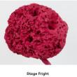 Opening Receptions, April 07, 2022, 04/07/2022, Stage Fright: Group Show