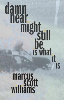 Book Discussions, April 19, 2022, 04/19/2022, damn near might still be is what it is: A Peripatetic First Novel (online)