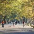 Park Walks, April 13, 2022, 04/13/2022, Sunset Forest Bathing