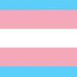 Lectures, April 14, 2022, 04/14/2022, What Can Transgender Studies Bring to the French Classroom?