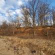 Park Walks, April 19, 2022, 04/19/2022, Spring Break Walking Tour: Flora and Fauna of the Lenape Native Americans