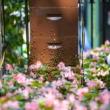 Workshops, June 10, 2022, 06/10/2022, Beekeeping Class