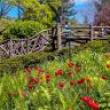 Park Walks, May 25, 2022, 05/25/2022, Central Park Shakespeare Garden Walk (online)