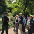 Birdwatchings, May 14, 2022, 05/14/2022, Nature Tour: Bird Migration Walk
