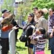 Festivals, May 14, 2022, 05/14/2022, Urban Wildlife Festival