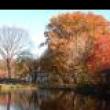 Hikes, March 11, 2023, 03/11/2023, Nature Exploration Hike: Willow Lake