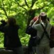 Birdwatchings, May 08, 2022, 05/08/2022, Spring Migration Birding