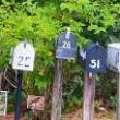 Opening Receptions, May 07, 2022, 05/07/2022, Frankie Lane: You've Got Mail