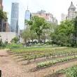 Tours, May 19, 2022, 05/19/2022, Urban Farm Tour