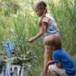 Hikes, May 12, 2022, 05/12/2022, High Rock Park: Pumphouse Pond Dip