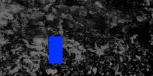 Poetry Readings, July 09, 2022, 07/09/2022, Poetry Reading: Maps, Oceans, Otherwise (online)