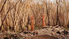 Opening Receptions, May 18, 2022, 05/18/2022, Alberta Whittle: Respectability won't save you: a Caribbean haunting