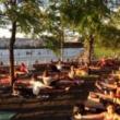 Workshops, June 06, 2023, 06/06/2023, Pilates in the Park