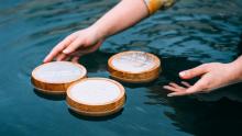 Performances, June 25, 2022, 06/25/2022, Islands in the Sea: Performance Art