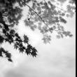 Opening Receptions, May 26, 2022, 05/26/2022, 5 Photography Shows