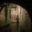 Tours, June 06, 2022, 06/06/2022, The Netherlands: Medieval City of Den Bosch, the 'Forest of the Duke' (online)