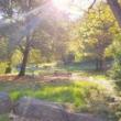 Festivals, June 18, 2022, 06/18/2022, Juneteenth Festival: Yoga, African Dance & Drumming