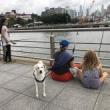 Workshops, August 03, 2022, 08/03/2022, Big City Fishing