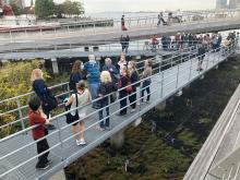 Park Walks, August 03, 2022, 08/03/2022, Tide Deck Tour