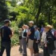 Park Walks, August 27, 2022, 08/27/2022, Nature Tour on the Hudson