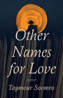 Author Readings, July 19, 2022, 07/19/2022, Other Names for Love: Family Tensions in Pakistan (online)
