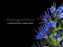 Slide Lectures, July 11, 2022, 07/11/2022, Endangered Flora Photography (online)