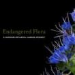 Slide Lectures, July 11, 2022, 07/11/2022, Endangered Flora Photography (online)