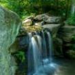 Park Walks, July 13, 2022, 07/13/2022, Following the Loch Park Walk (online)