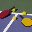Workshops, June 01, 2023, 06/01/2023, Pick Up Pickleball