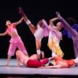Dance Performances, August 28, 2022, 08/28/2022, 14-Member Dance Troupe from Chicago